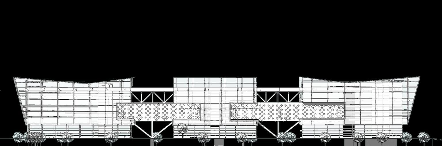 SSA Project 31